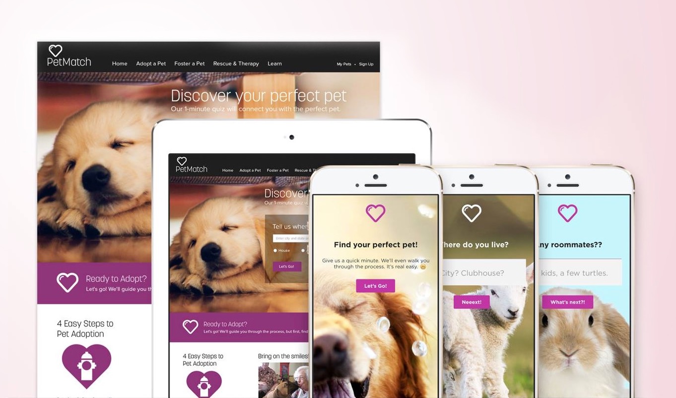 PetMatch project thumbnail